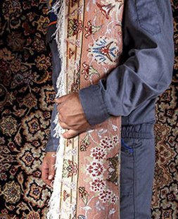 قالی لول در قالیشویی بوشهر